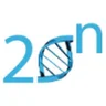 20n