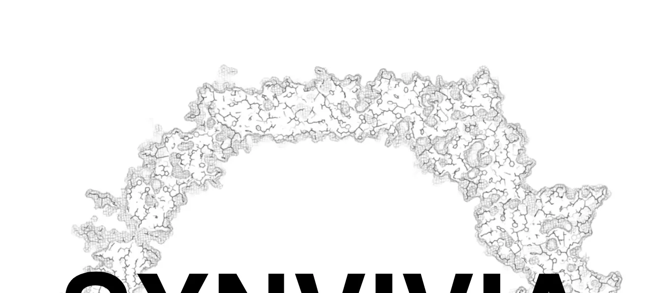 신비비아 제품 화면