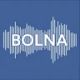 볼나 AI