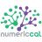 누메리칼