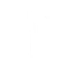 Polygram Coding Agent